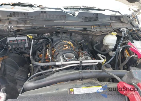 2009 Dodge Ram 1500 Slt/Sport/Trx from USA, damaged, VIN 1D3HB18T19S722846